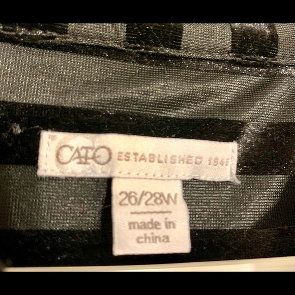 Button-Down Semi-See thru blouse - Picture 2 of 5